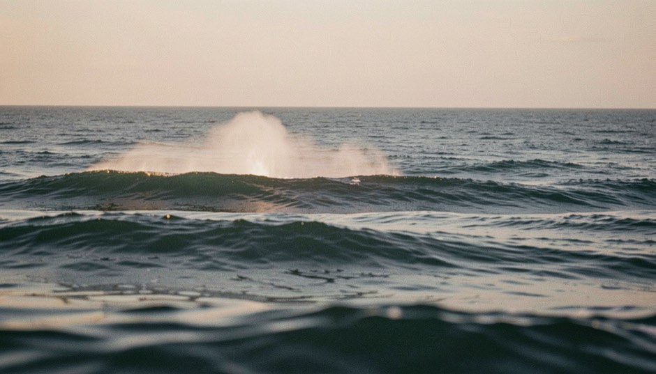 Low evening light across a long ocean swell, with the white spray of a distant whale blow hanging above the water and no land in the frame